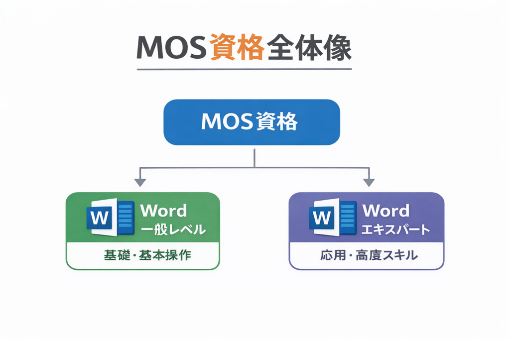 【📊図解挿入:MOS資格全体の構成(Word一般/エキスパートの位置づけ)】