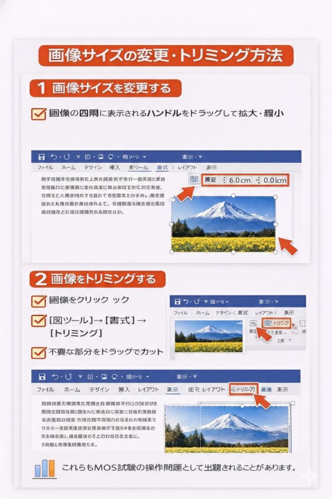 【📊図解挿入：画像のサイズ変更・トリミング操作】